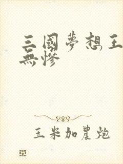 三国梦想王元姬无惨封面