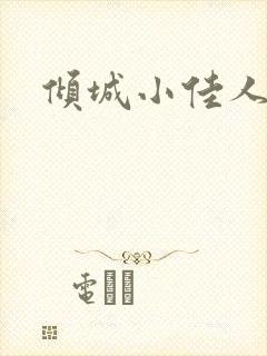 倾城小佳人封面