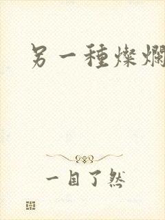 另一种灿烂生活