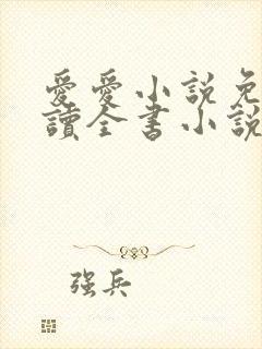 爱爱小说免费阅读全书小说乡村封面