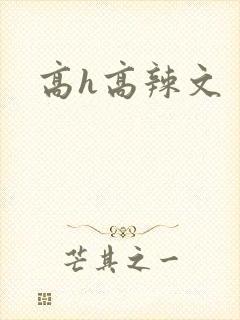 高h高辣文