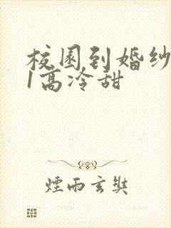 校园到婚纱1V1高冷甜