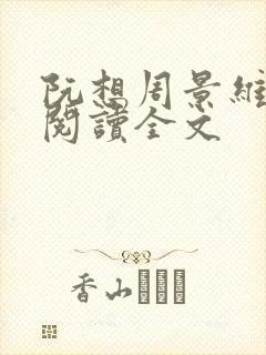 阮想周景维免费阅读全文