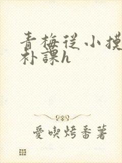 青梅从小摸到大补课h