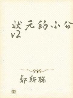 状元的小公主1v2封面