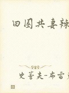 田园共妻辣封面