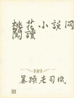 桃花小说网小说阅读