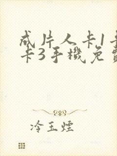 成片人卡1卡2卡3手机免费看封面