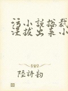 污小说总裁整夜没拔出来小说在线阅读