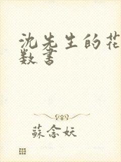 沈先生的花式调数书