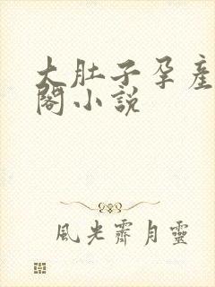 大肚子孕产笔趣阁小说