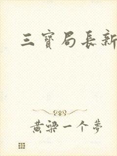 三宝局长新编封面