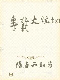 东北大炕txt下载封面