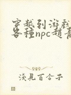 穿越到游戏里和各种npc赵青蔓封面