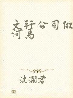 文轩公司做扩张河马封面