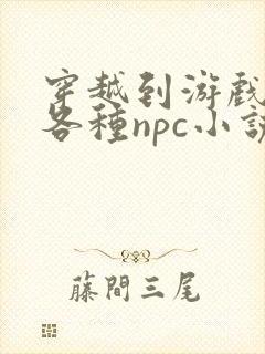 穿越到游戏里和各种npc小说