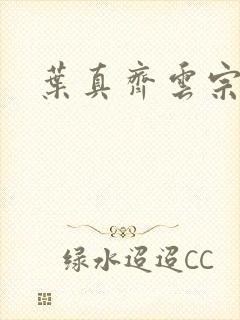 叶真齐云宗免费封面