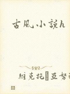 古风小说h封面