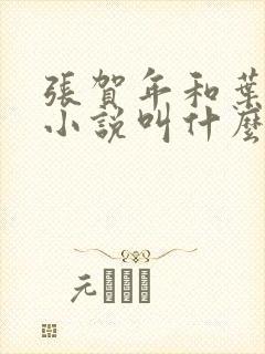 张贺年和叶繁姿小说叫什么名字