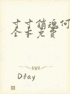 寸寸销魂何生祥全本免费封面