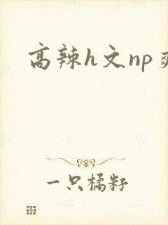 高辣h文np爽封面