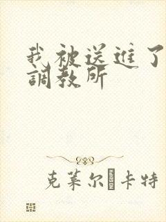 我被送进了私奴调教所