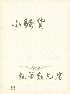 小骚货