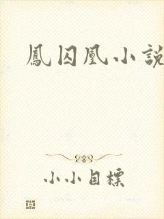 凤囚凰小说封面