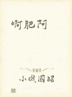 啊肥阿封面