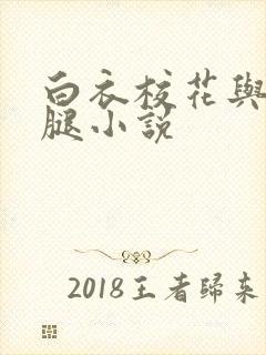 白衣校花与大长腿小说