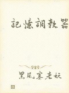 记忆调教器封面