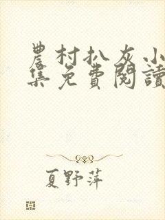 农村扒灰小说全集免费阅读