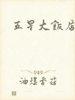 五星大饭店小说