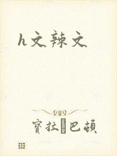 h文辣文