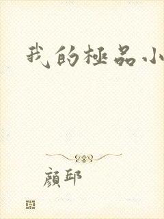 我的极品小姨