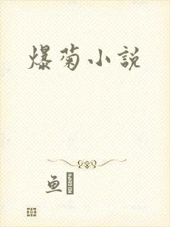 爆菊小说