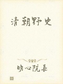 清朝野史封面