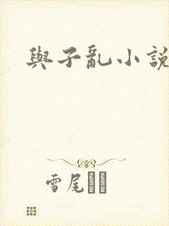 与子乱小说
