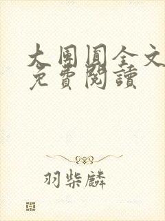 大团圆全文完整免费阅读封面