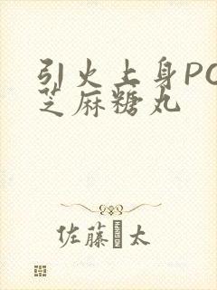 引火上身POP芝麻糖丸