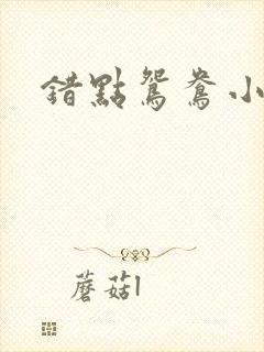 错点鸳鸯小说封面