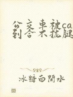 公交车被cao到合不拢腿视频