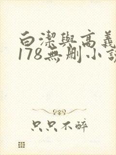 白洁与高义1～178无删小说封面