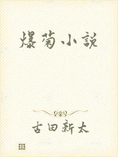 爆菊小说