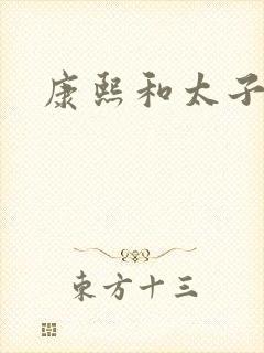 康熙和太子妃封面