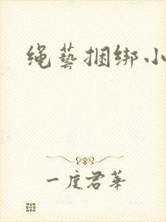 绳艺捆绑小说封面