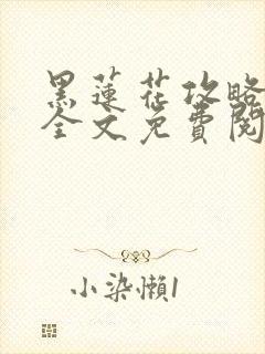 黑莲花攻略手册全文免费阅读封面