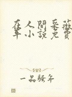 在人间采薇陆三平小说免费阅读