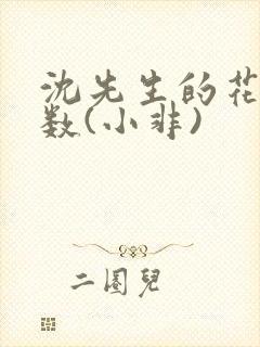 沈先生的花式调数(小非)封面