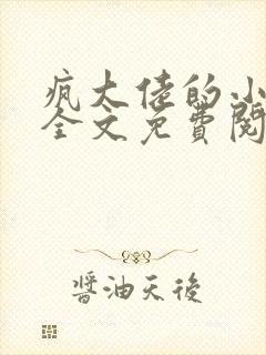 疯大佬的小玩物全文免费阅读小说封面